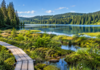 Platelage en bois au bord d’un lac jurassien, entouré d’épicéas près de la Forêt du Risoux.